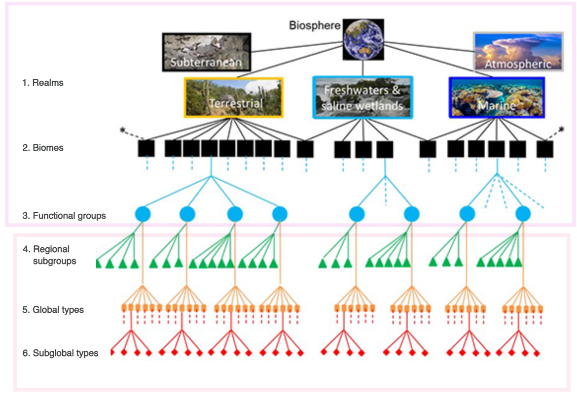 The six levels of the IUCN Global Ecosystem Typology, from realms down to subglobal types